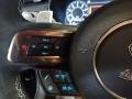 GT500 Recaro/Ebony/Smoke Gray Accents 2020 Ford Mustang Shelby GT500 Steering Wheel