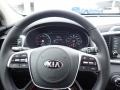 Passion Red - Sorento S AWD Photo No. 20