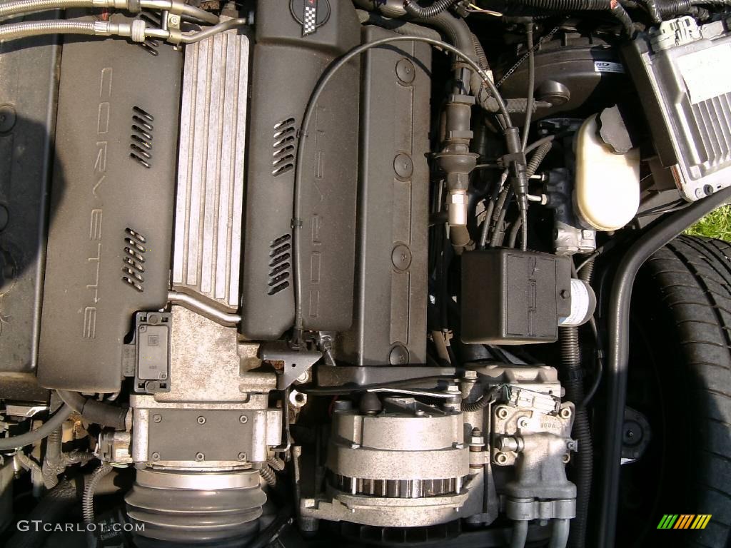 1995 Corvette Convertible - Arctic White / Red photo #29