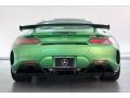 2019 AMG Green Hell Magno (Matte) Mercedes-Benz AMG GT R Coupe  photo #3