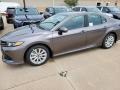 Predawn Gray Mica 2020 Toyota Camry LE