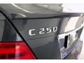 Palladium Silver Metallic - C 250 Sport Photo No. 27