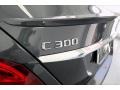 Steel Grey Metallic - C 300 Sedan Photo No. 27