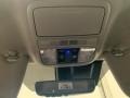 2020 Pacific Pewter Metallic Honda Odyssey EX-L  photo #21