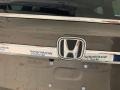 2020 Pacific Pewter Metallic Honda Odyssey EX-L  photo #38