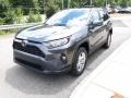 Magnetic Gray Metallic - RAV4 XLE AWD Photo No. 28