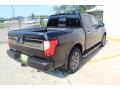 Magnetic Black - Titan Platinum Reserve Crew Cab Photo No. 10