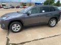Magnetic Gray Metallic 2020 Toyota RAV4 XLE
