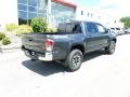 2020 Cement Toyota Tacoma TRD Off Road Double Cab 4x4  photo #33