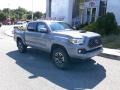 Cement - Tacoma TRD Sport Double Cab 4x4 Photo No. 30