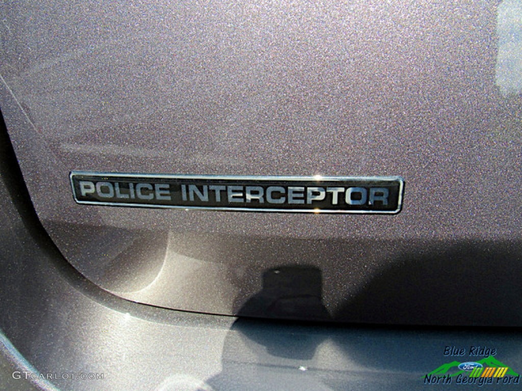 2020 Explorer Police Interceptor AWD - Sterling Gray Metallic / Ebony photo #21