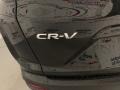 2020 Crystal Black Pearl Honda CR-V EX-L AWD  photo #36