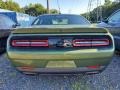 F8 Green - Challenger R/T Plus Photo No. 3