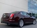 2009 Cinnamon Metallic Lincoln MKS AWD Sedan  photo #6
