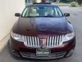 2009 Cinnamon Metallic Lincoln MKS AWD Sedan  photo #7