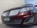 2009 Cinnamon Metallic Lincoln MKS AWD Sedan  photo #24
