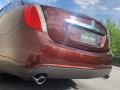 2009 Cinnamon Metallic Lincoln MKS AWD Sedan  photo #29