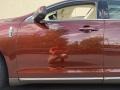 2009 Cinnamon Metallic Lincoln MKS AWD Sedan  photo #32