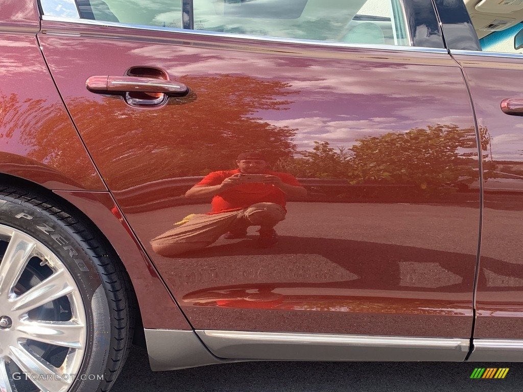 2009 MKS AWD Sedan - Cinnamon Metallic / Cashmere photo #35