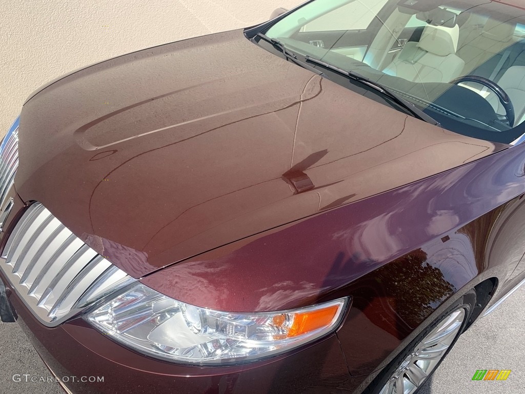 2009 MKS AWD Sedan - Cinnamon Metallic / Cashmere photo #38
