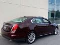 2009 Cinnamon Metallic Lincoln MKS AWD Sedan  photo #144