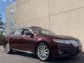 2009 Cinnamon Metallic Lincoln MKS AWD Sedan  photo #150