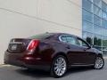 2009 Cinnamon Metallic Lincoln MKS AWD Sedan  photo #153