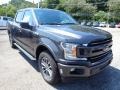 Magnetic - F150 XLT SuperCrew 4x4 Photo No. 3