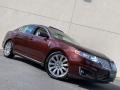 2009 Cinnamon Metallic Lincoln MKS AWD Sedan  photo #158