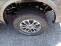 Magnetic - F150 XLT SuperCrew 4x4 Photo No. 7