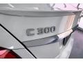 Polar White - C 300 Sedan Photo No. 27