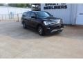 Agate Black Metallic - Expedition XLT Max Photo No. 2