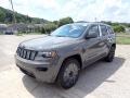 Sting-Gray - Grand Cherokee Altitude 4x4 Photo No. 1