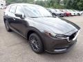 Machine Gray Metallic - CX-5 Touring AWD Photo No. 7