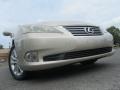 Satin Cashmere Metallic - ES 350 Photo No. 2