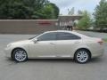 Satin Cashmere Metallic - ES 350 Photo No. 7