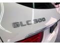 Polar White - GLC 300 Photo No. 27