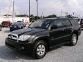 Shadow Mica - 4Runner SR5 Photo No. 7