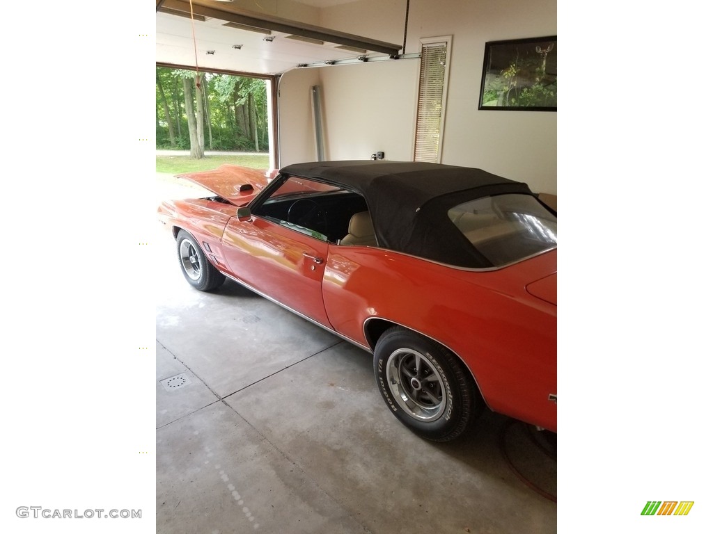 1969 Firebird Convertible - Carousel Red / White photo #2