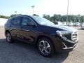 Ebony Twilight Metallic - Terrain SLT AWD Photo No. 3
