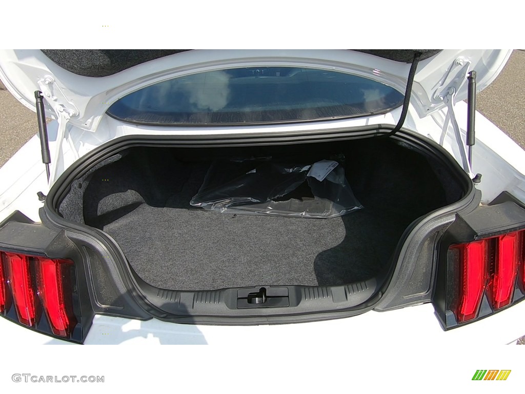 2020 Ford Mustang EcoBoost Premium Fastback Trunk Photo #139194953