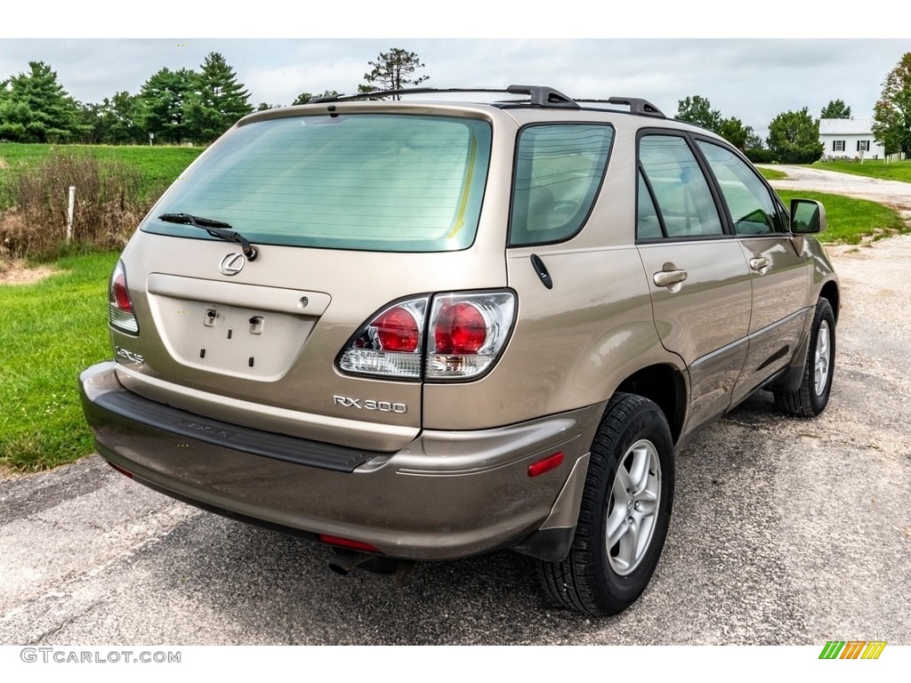 2001 RX 300 AWD - Burnished Gold Metallic / Ivory photo #4
