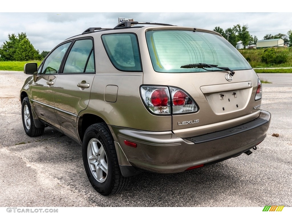 2001 RX 300 AWD - Burnished Gold Metallic / Ivory photo #6