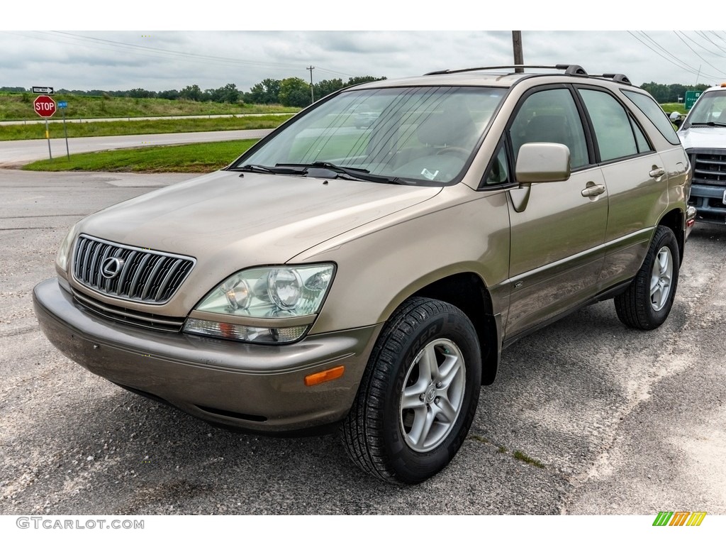 2001 RX 300 AWD - Burnished Gold Metallic / Ivory photo #8