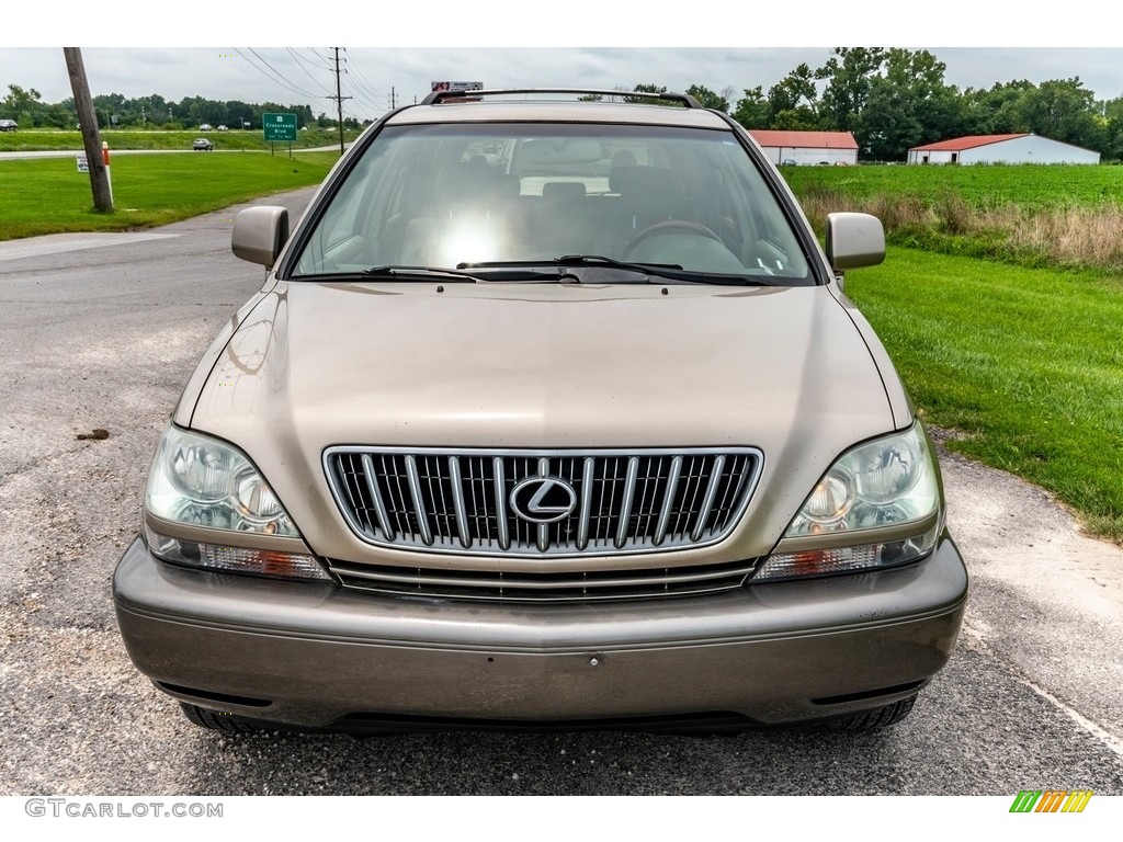 2001 RX 300 AWD - Burnished Gold Metallic / Ivory photo #9