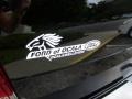 2009 Ebony Black Ford Focus SES Coupe  photo #9