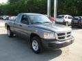 Mineral Gray Metallic - Dakota SXT Extended Cab 4x4 Photo No. 13