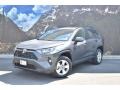 Magnetic Gray Metallic - RAV4 XLE Photo No. 4