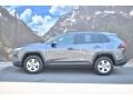 Magnetic Gray Metallic - RAV4 XLE Photo No. 5