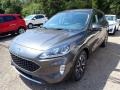 Magnetic Metallic - Escape SEL 4WD Photo No. 5